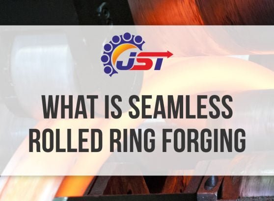 Seamless Rolled Ring Forging